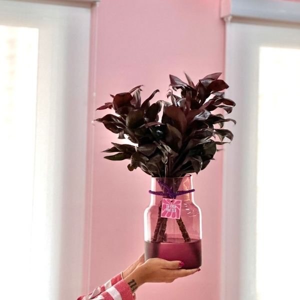 ARRANJO VASO UVA COM DRACENAS