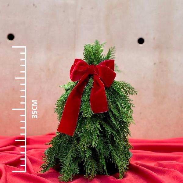 thumb-kit-arvore-de-natal-p-difusor-festivo-0