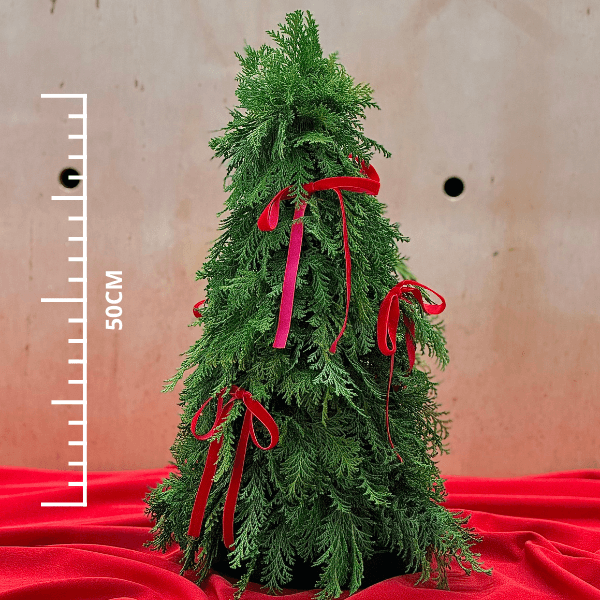 thumb-kit-arvore-m-vinho-2