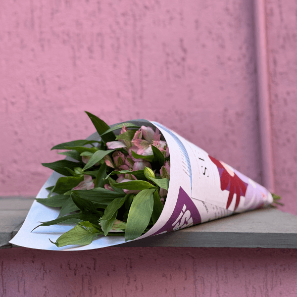 thumb-maco-alstromelia-1