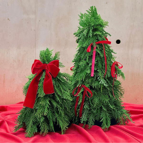 thumb-arvore-natal-m-2