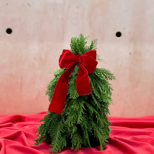 thumb-arvore-natal-p-2