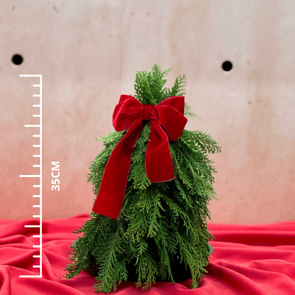 thumb-arvore-natal-p-1