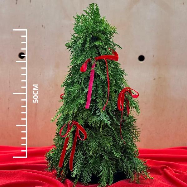 thumb-kit-arvore-de-natal-m-trio-de-chocolates-festivo-1