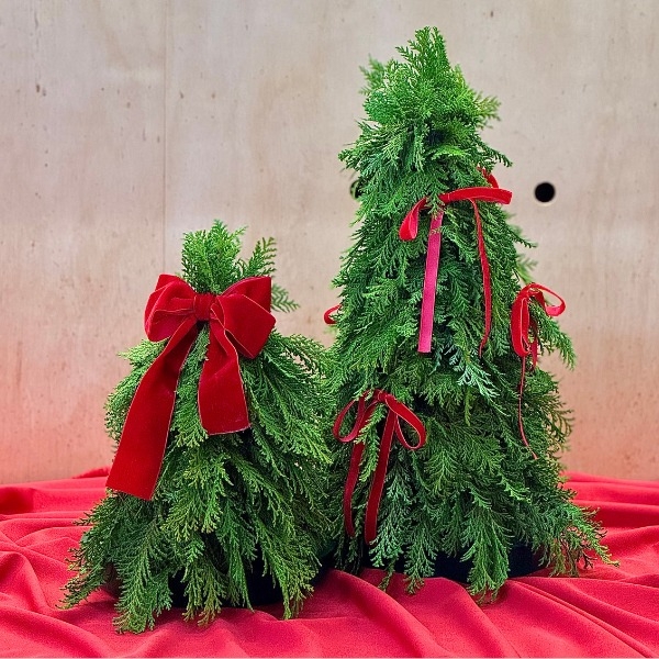 ÁRVORE DE NATAL - KIT P + M