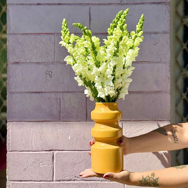 BOCA DE LEÃO NO VASO AMARELO