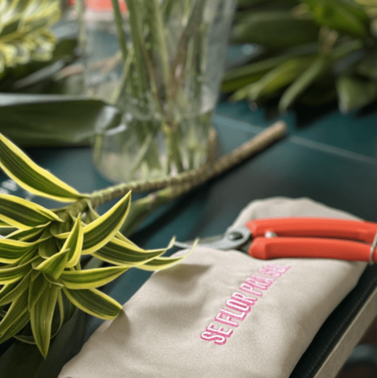 VOUCHER WORKSHOP - PRESENTEIE ALGUÉM